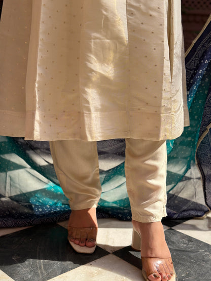 Women's White Anarkali Kurta Set with Adda Work & Organza Dupatta – Festive Wear (RR1019-White)